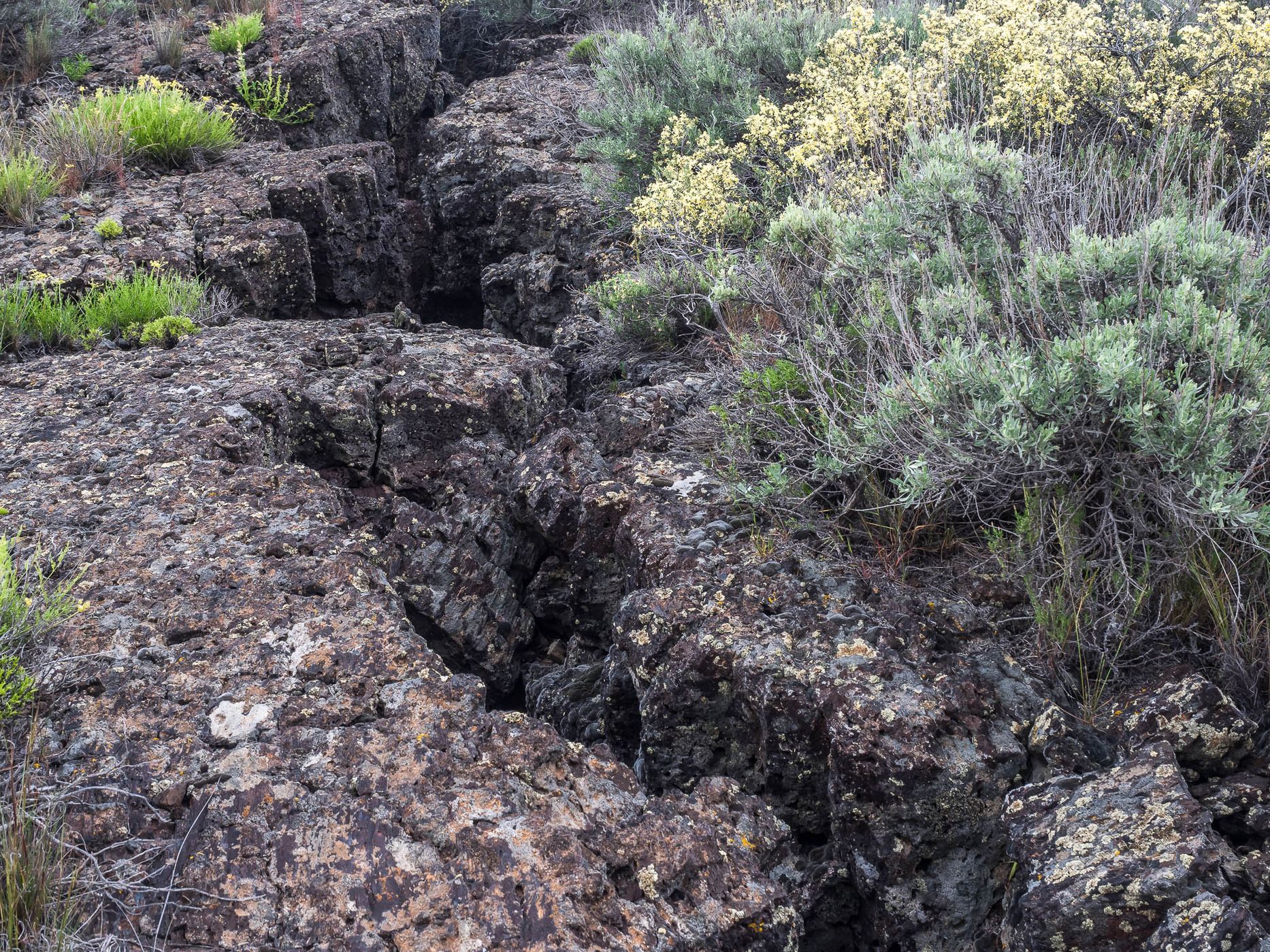 Craters of the Moon National Monument and Preserve, USA