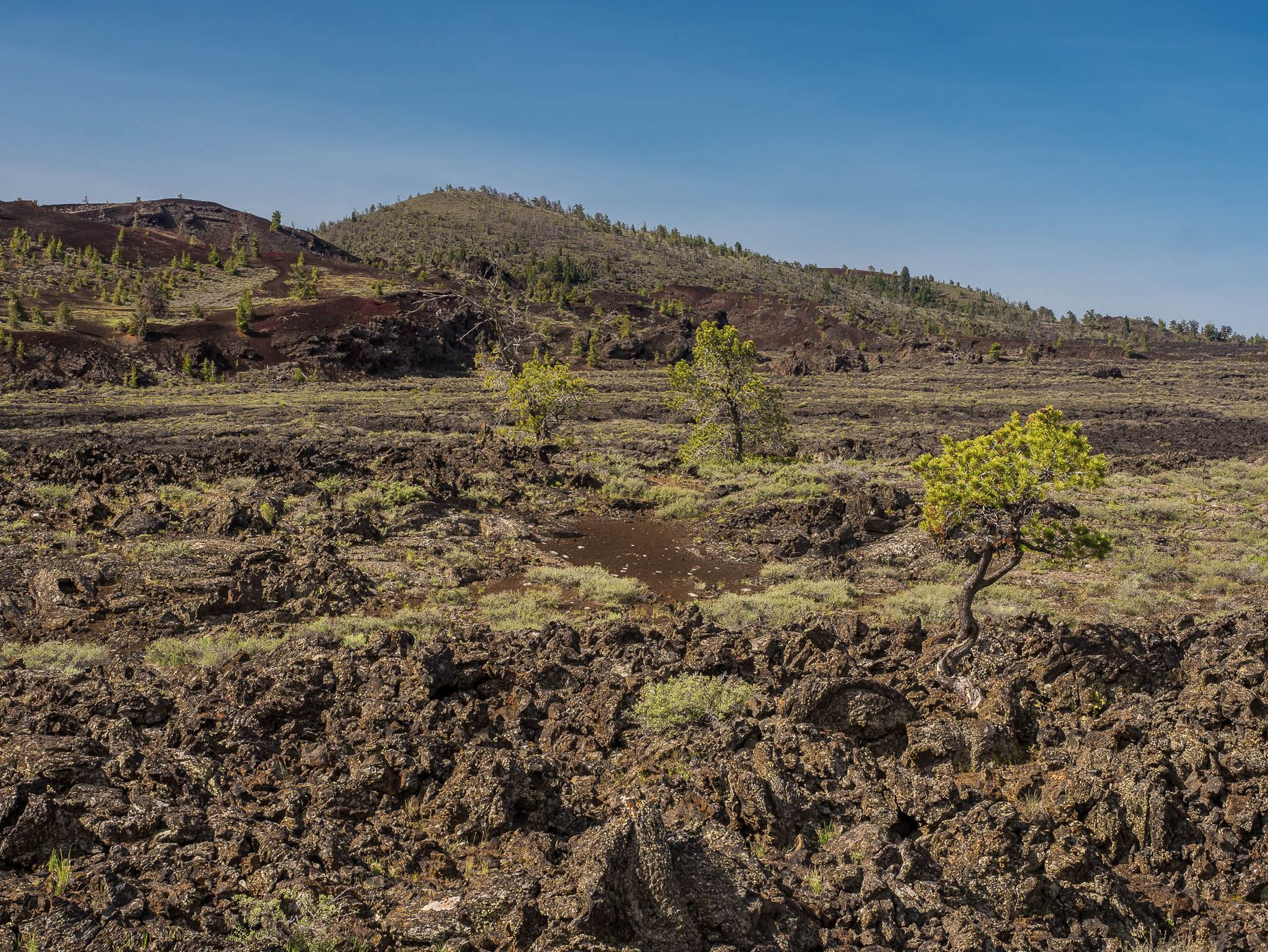 Craters of the Moon, view to Loop Road, USA