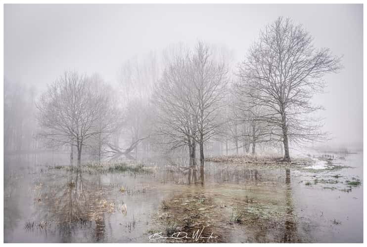 Demer flood plain