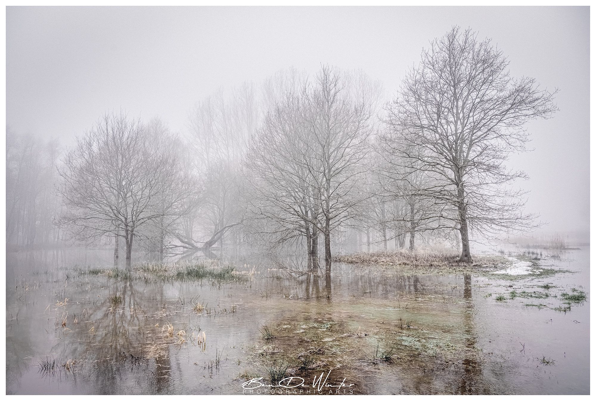 Demer flood plain, Belgium