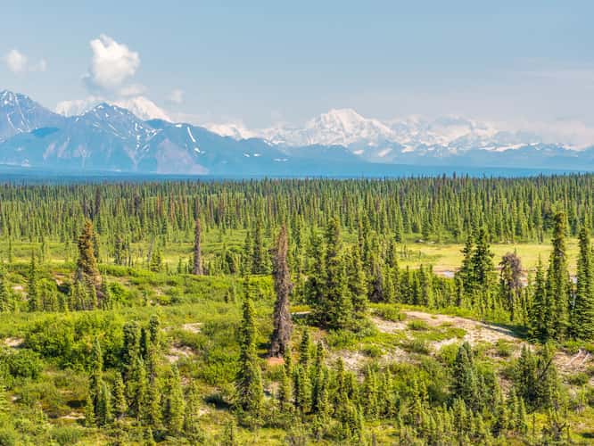 Denali Highway, eastern end
