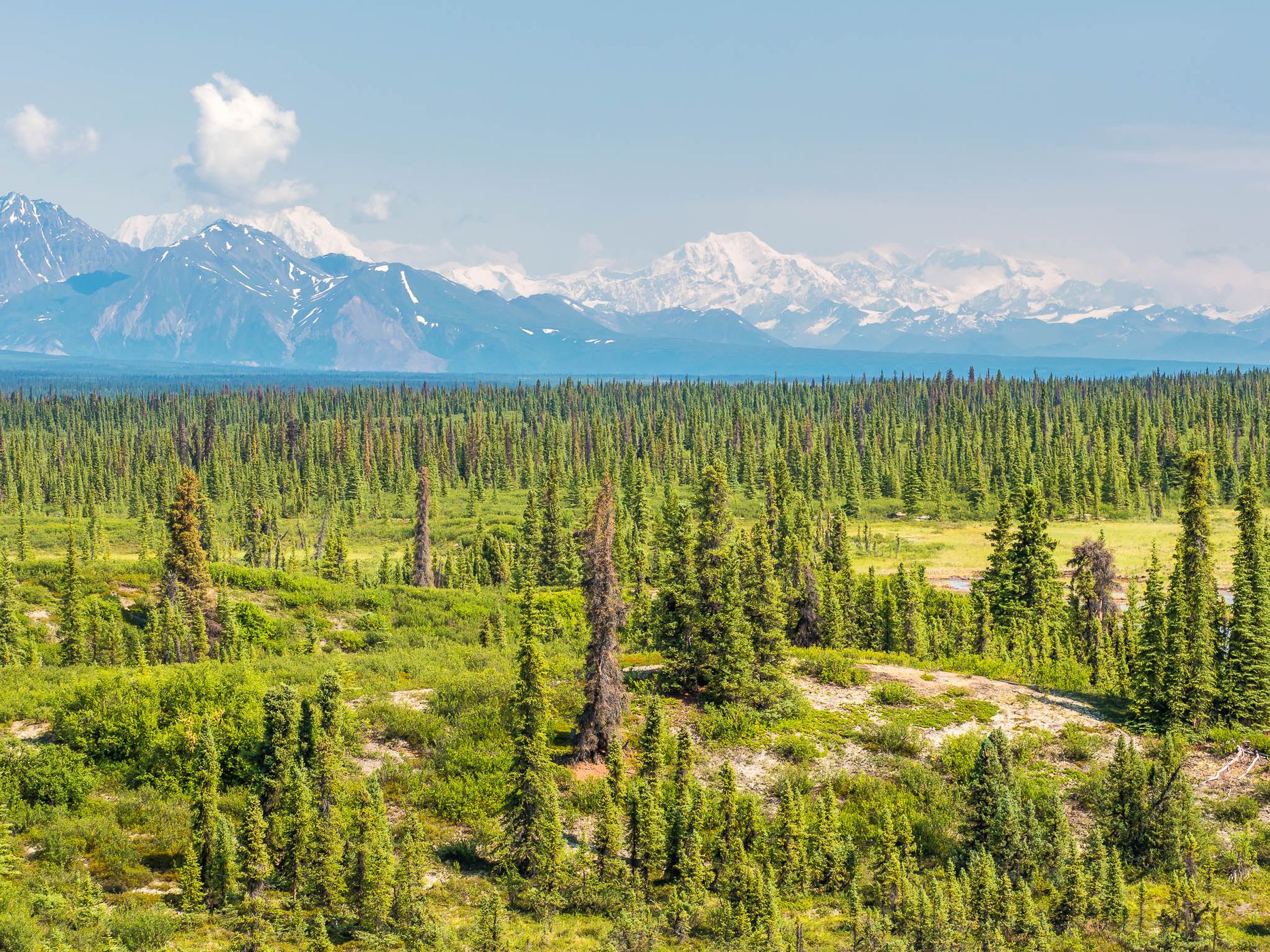 Denali Highway, eastern end, USA