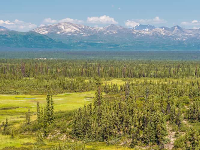 Denali Highway, eastern end