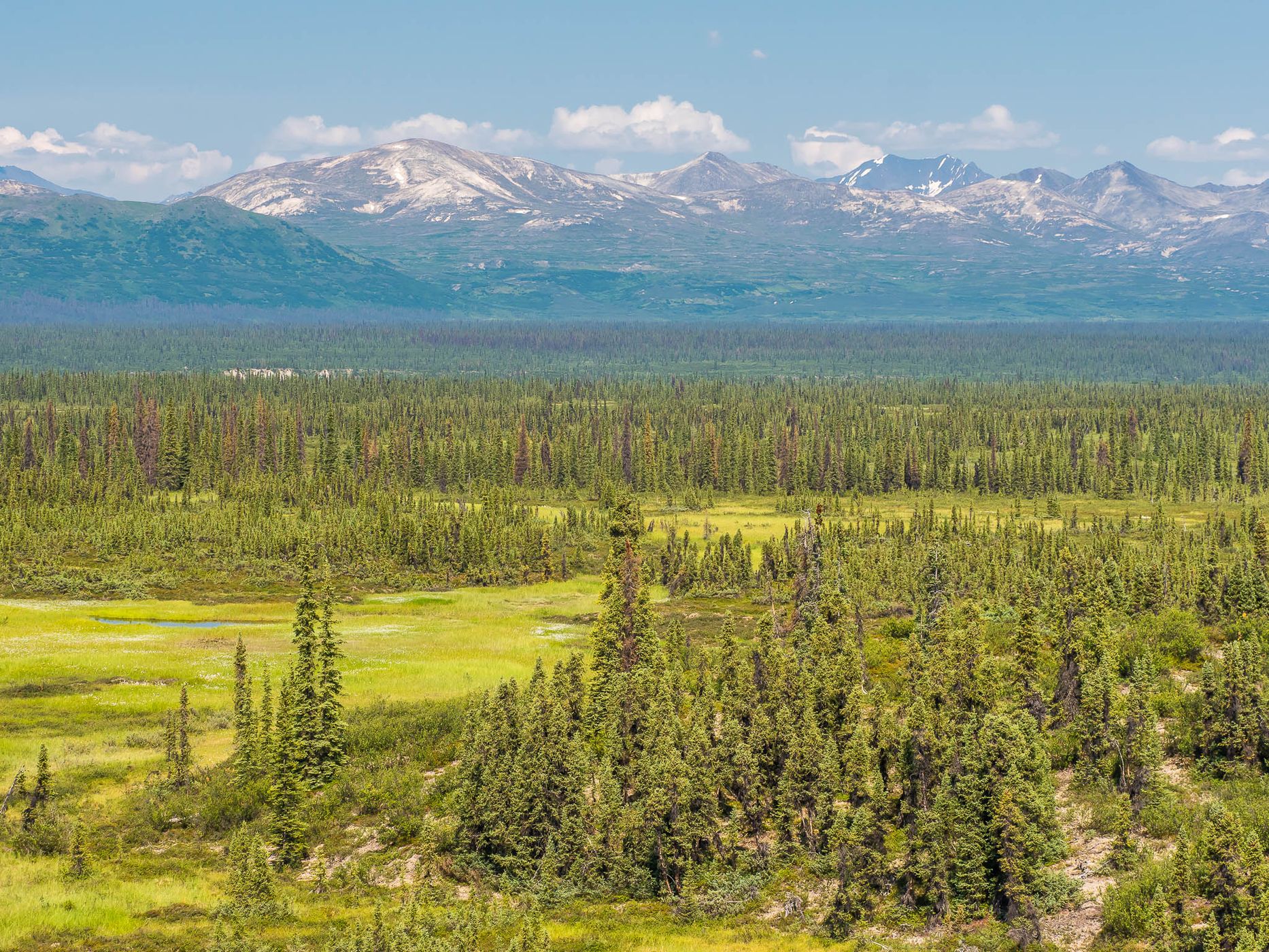 Denali Highway, eastern end, USA