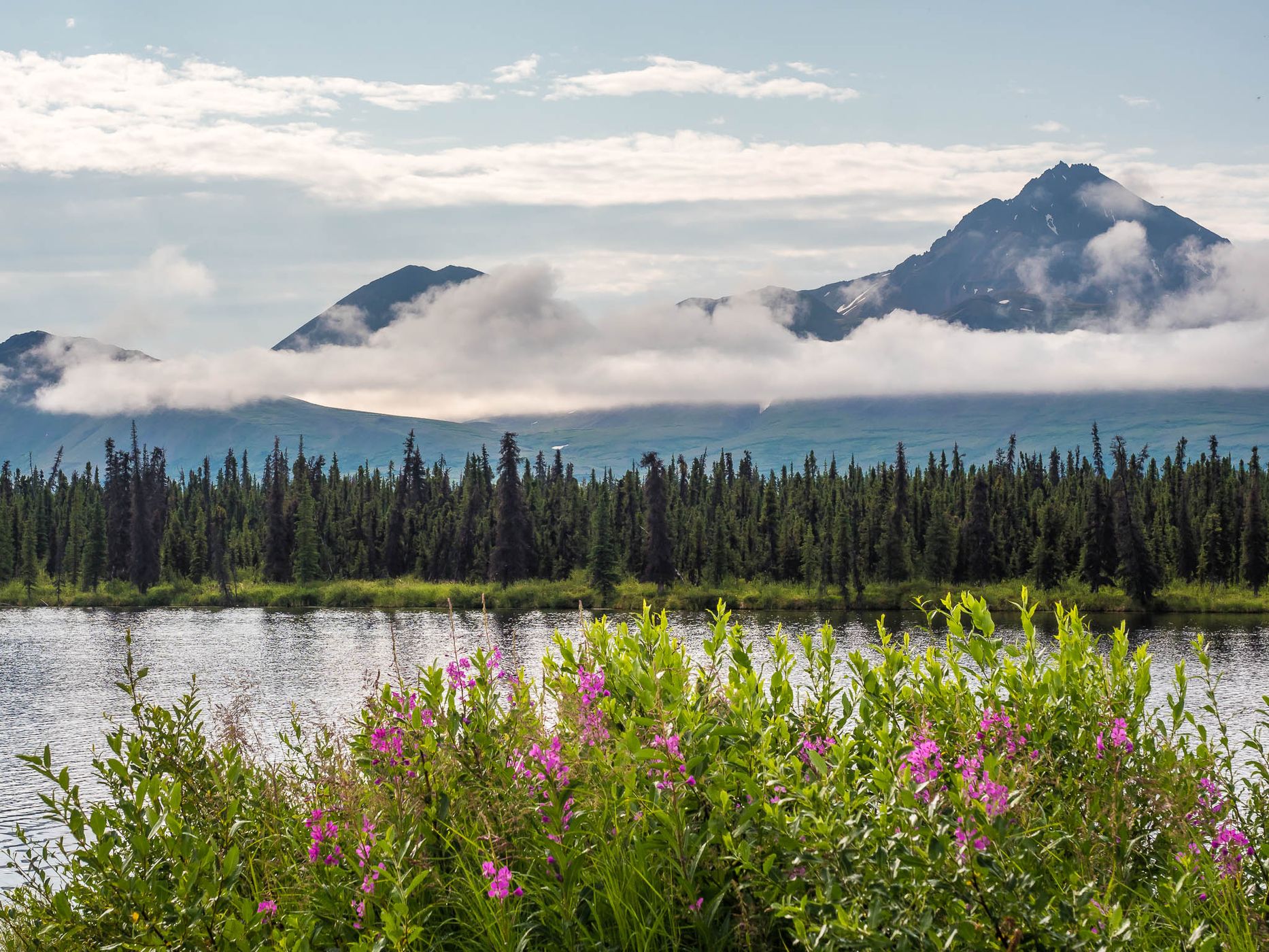 Denali Highway, western end, USA