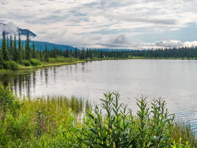 Denali Highway, western end