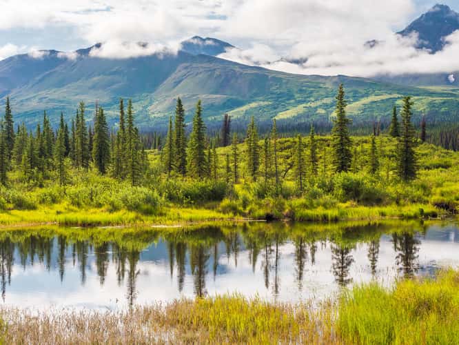 Denali Highway, western end