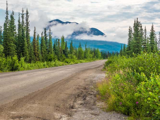 Denali Highway, western end
