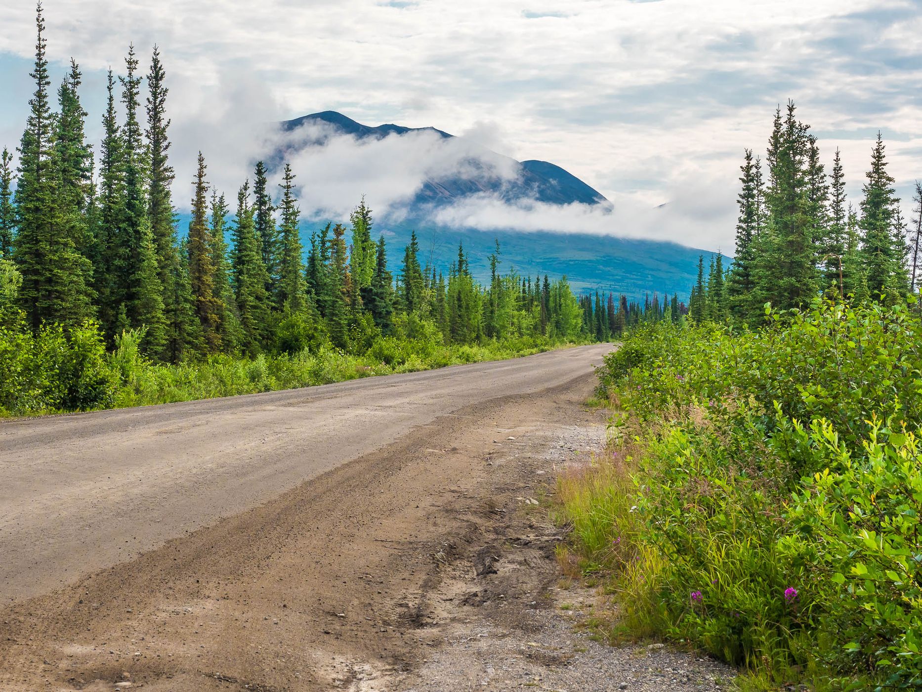 Denali Highway, western end, USA