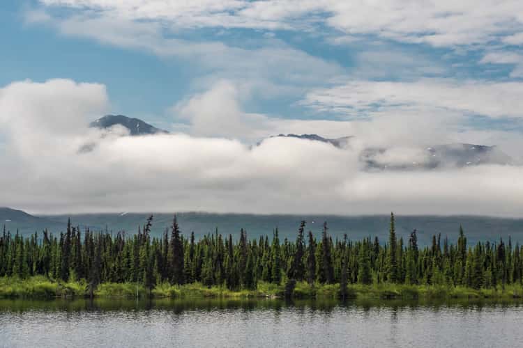 Denali Highway, western end