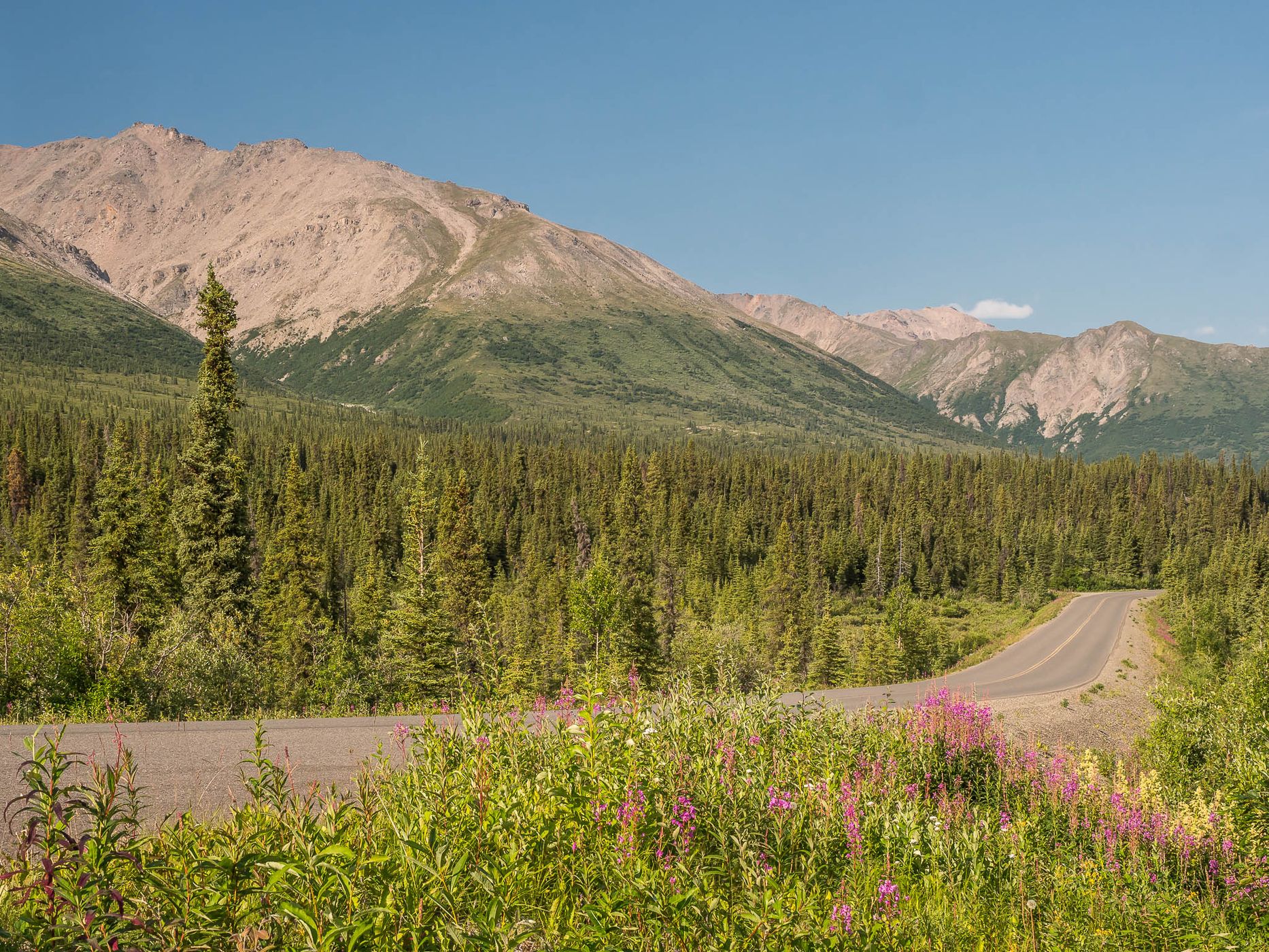Denali Park Road, USA