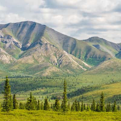 Denali Park Road, USA