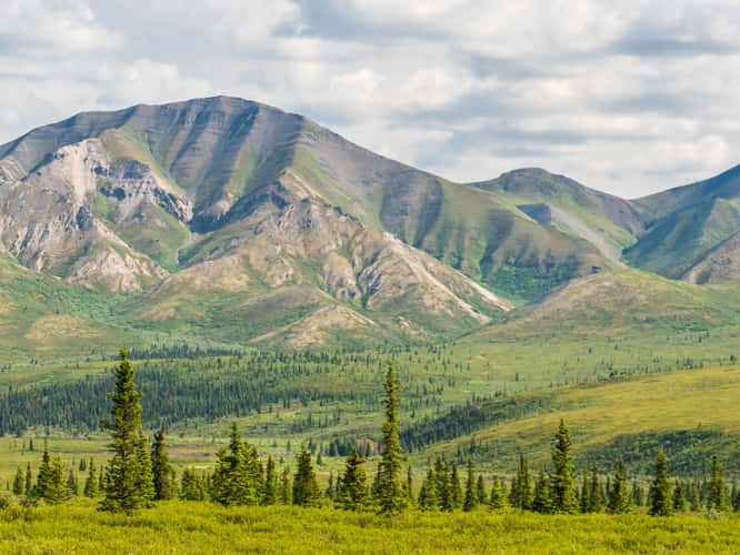 Denali Park Road