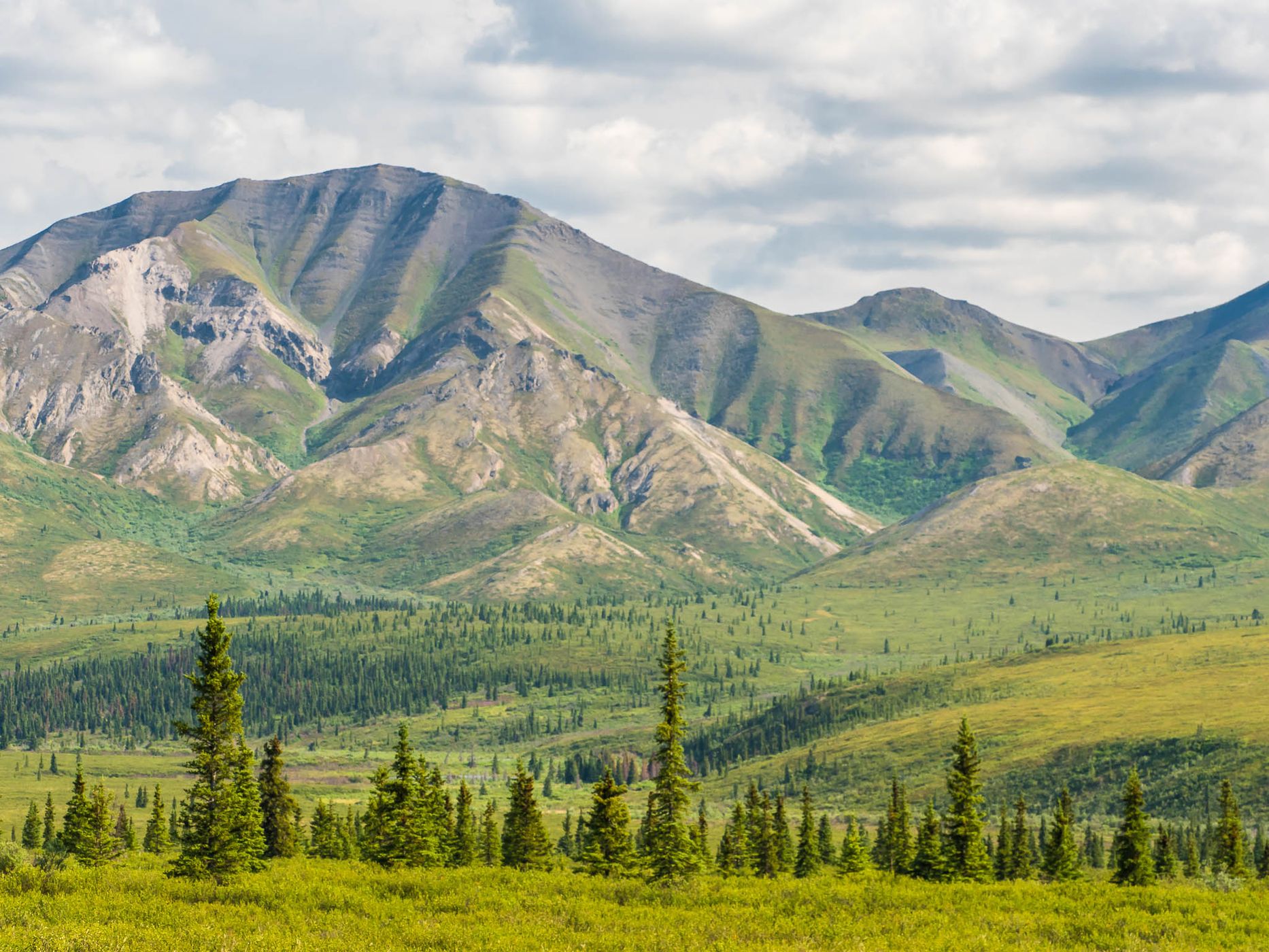Denali Park Road, USA