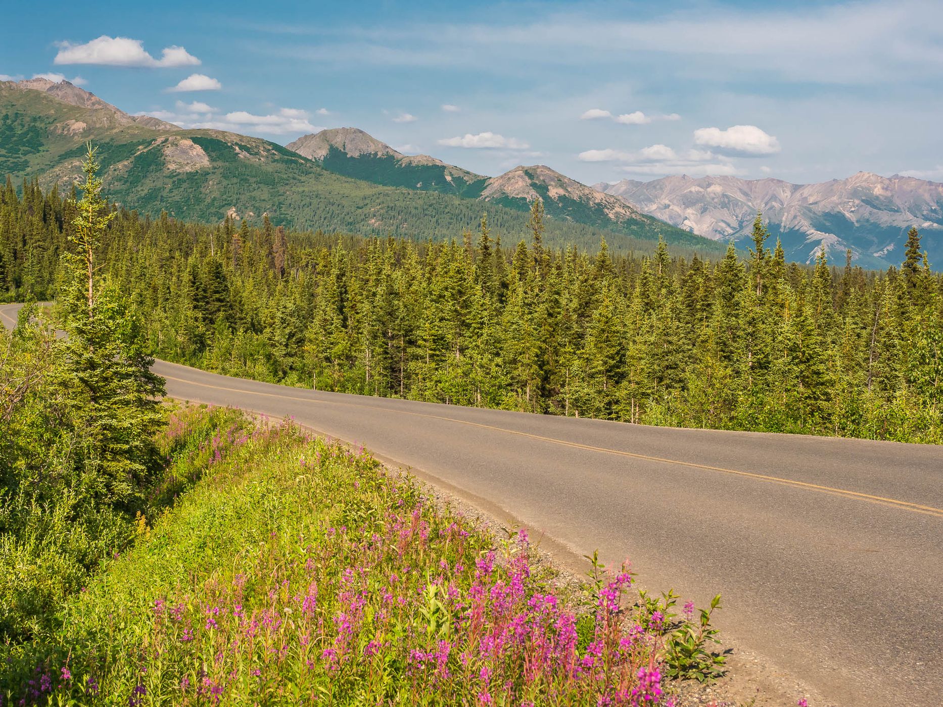 Denali Park Road, USA