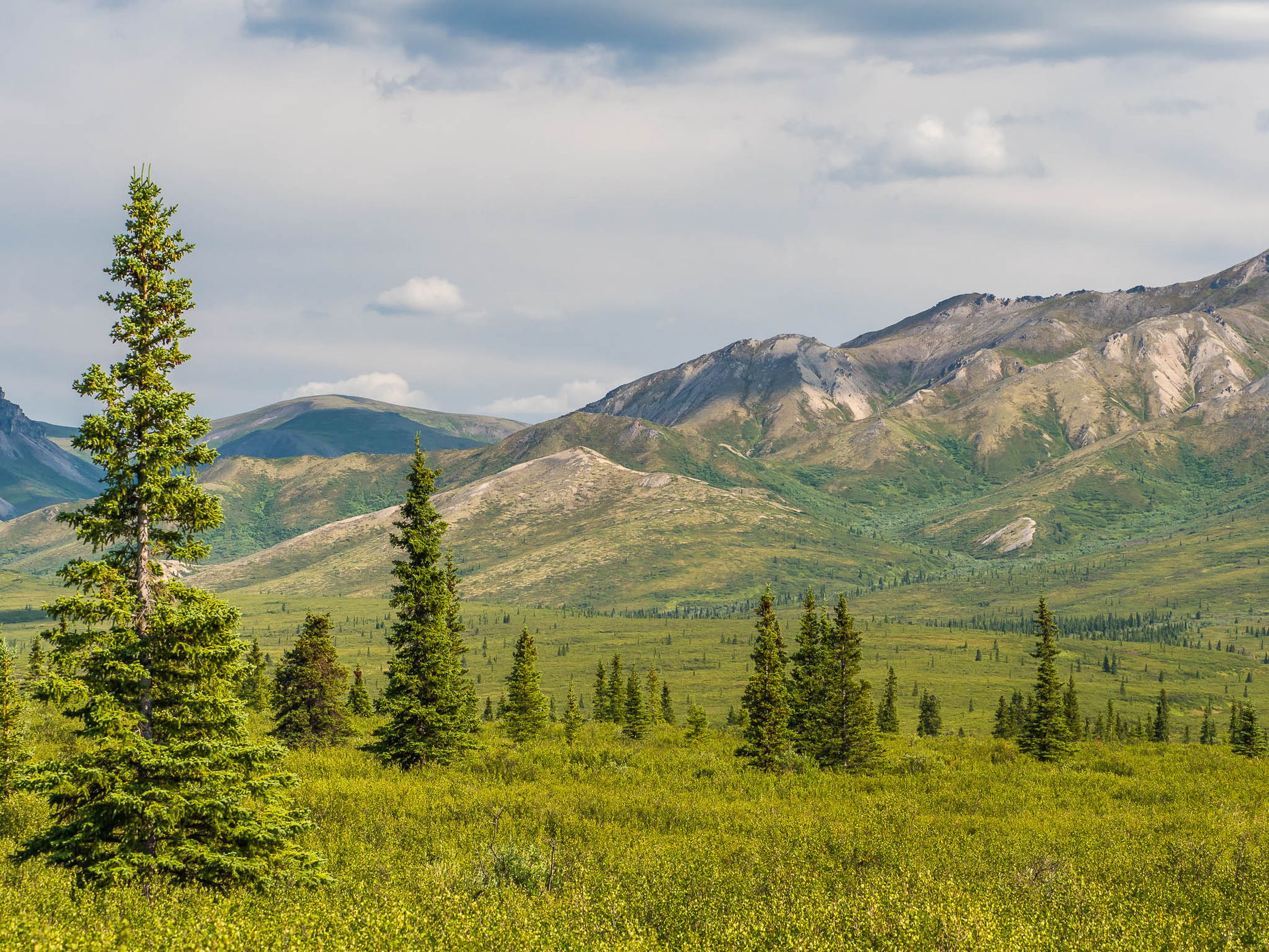 Denali Park Road, USA