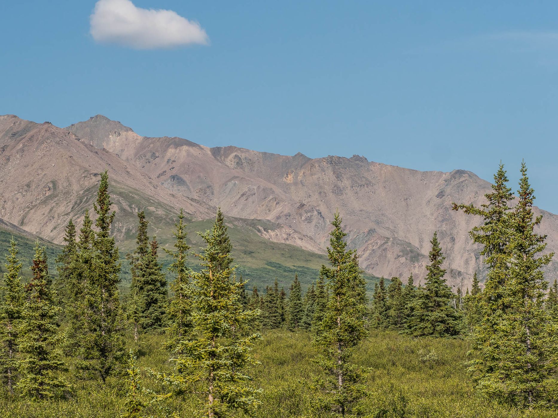 Denali Park Road, USA