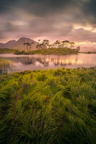 Derryclare Lough, Twelve Pines