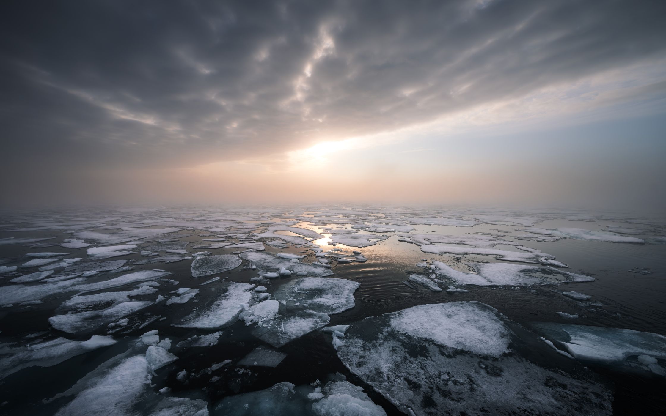 Drift Ice, North of Svalbard, Svalbard & Jan Mayen Islands