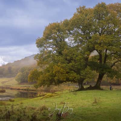 Elter Water Walk in Lake District, United Kingdom