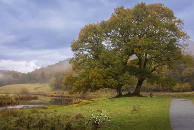Elter Water Walk in Lake District