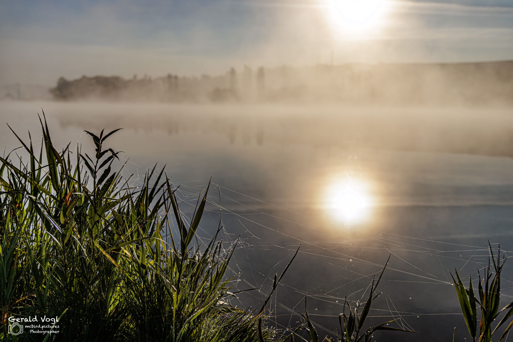 Fischteich bei Sonnenaufgang, Slovakia (Slovak Republic)