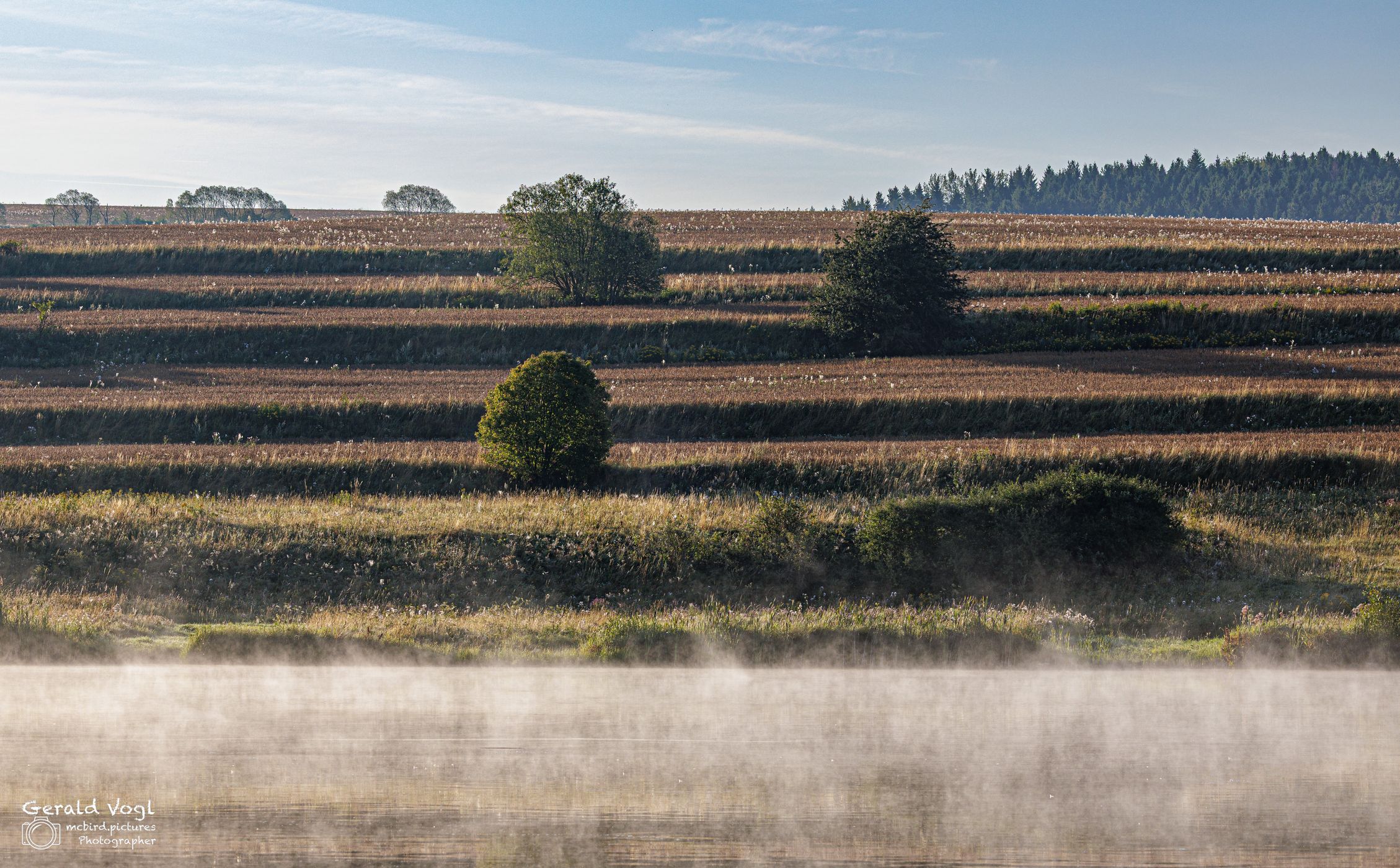 Fischteich bei Sonnenaufgang, Slovakia (Slovak Republic)