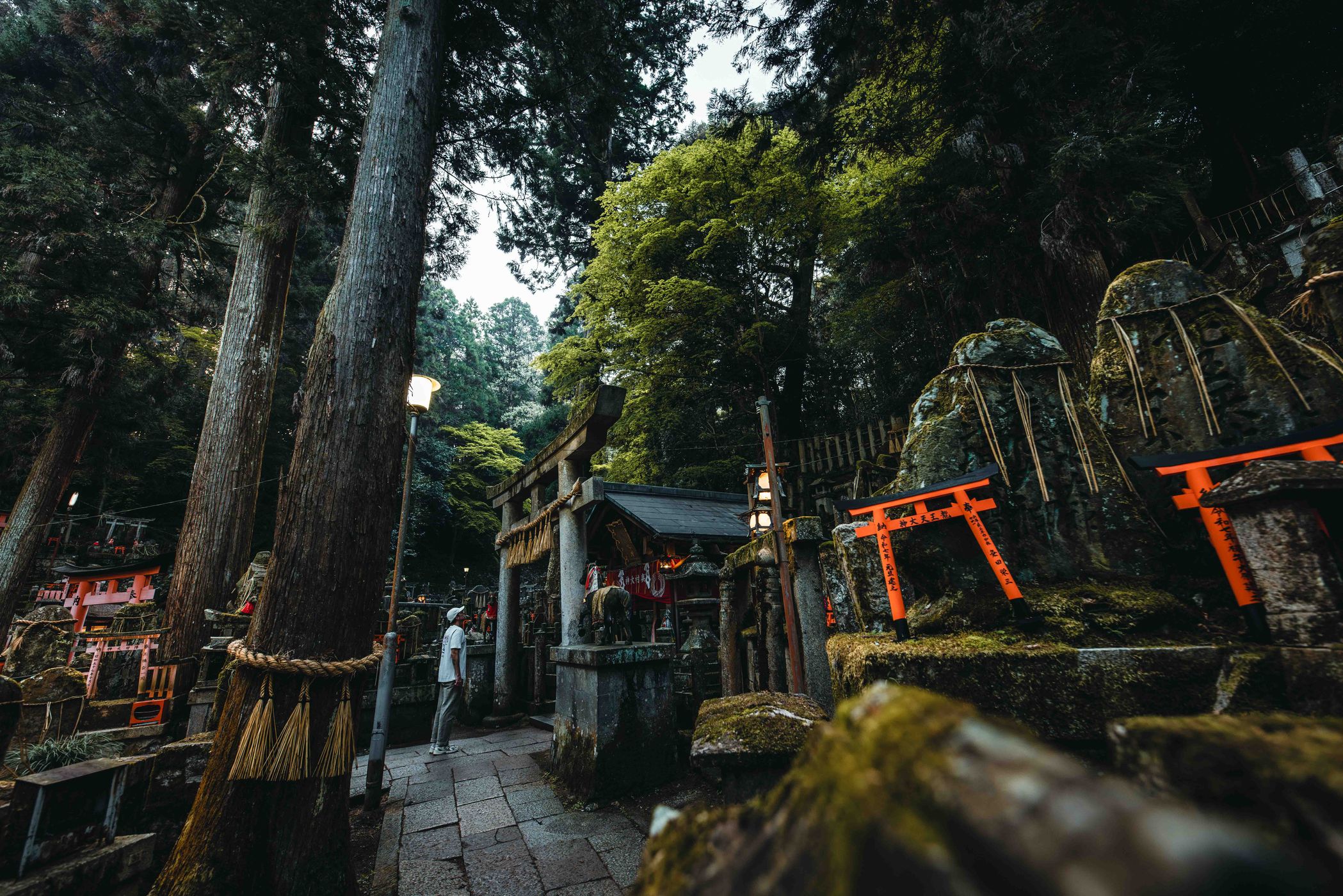 Fushimi Inari Shrine around Mount Inari, Kyoto, Japan