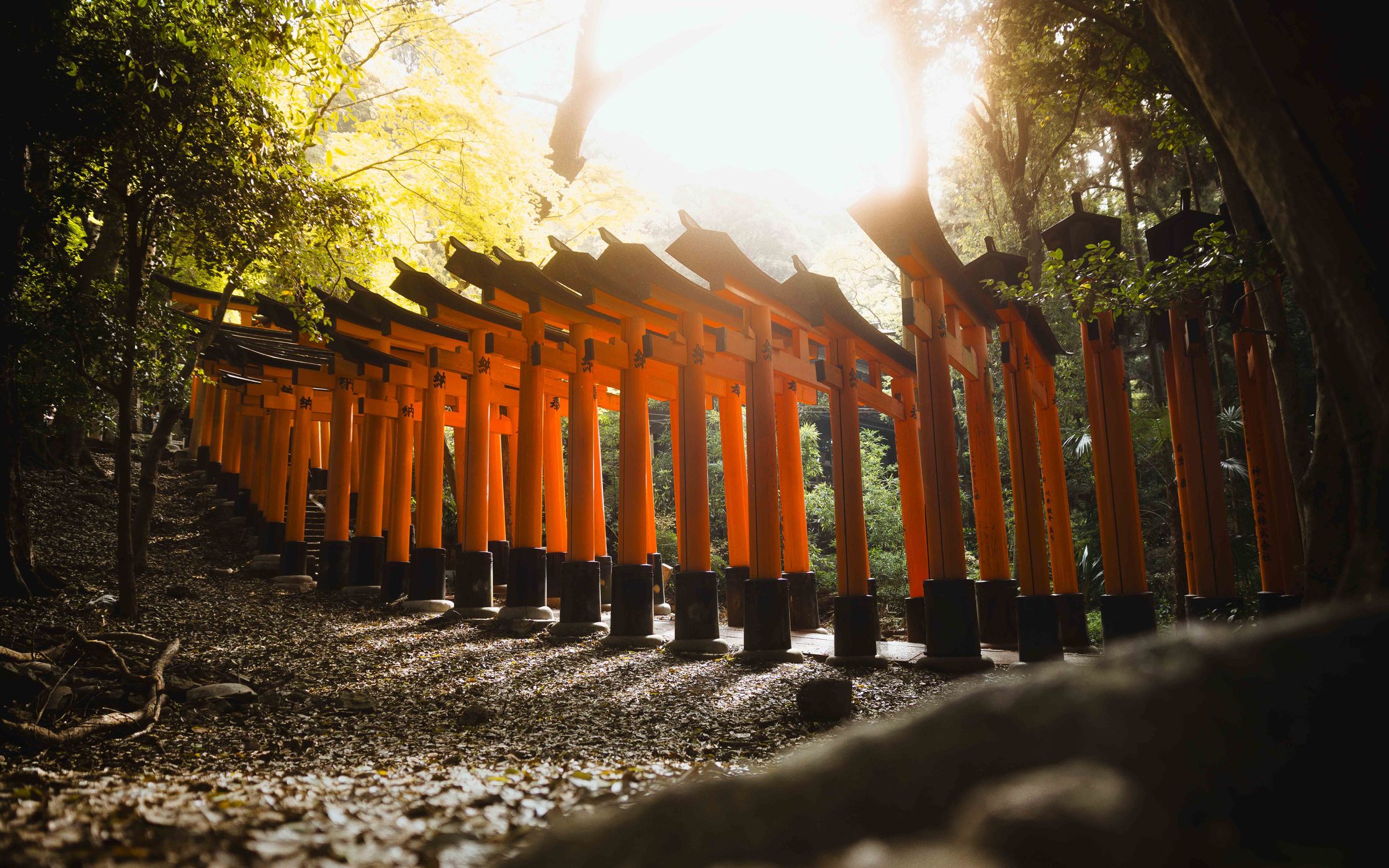 Fushimi Inari Shrine around Mount Inari, Kyoto, Japan