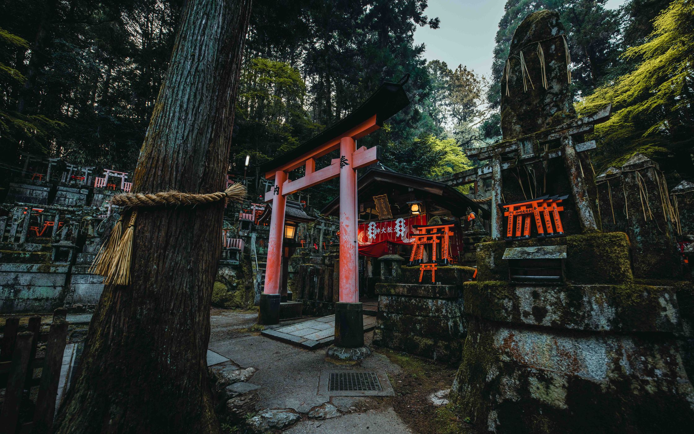 Fushimi Inari Shrine around Mount Inari, Kyoto, Japan