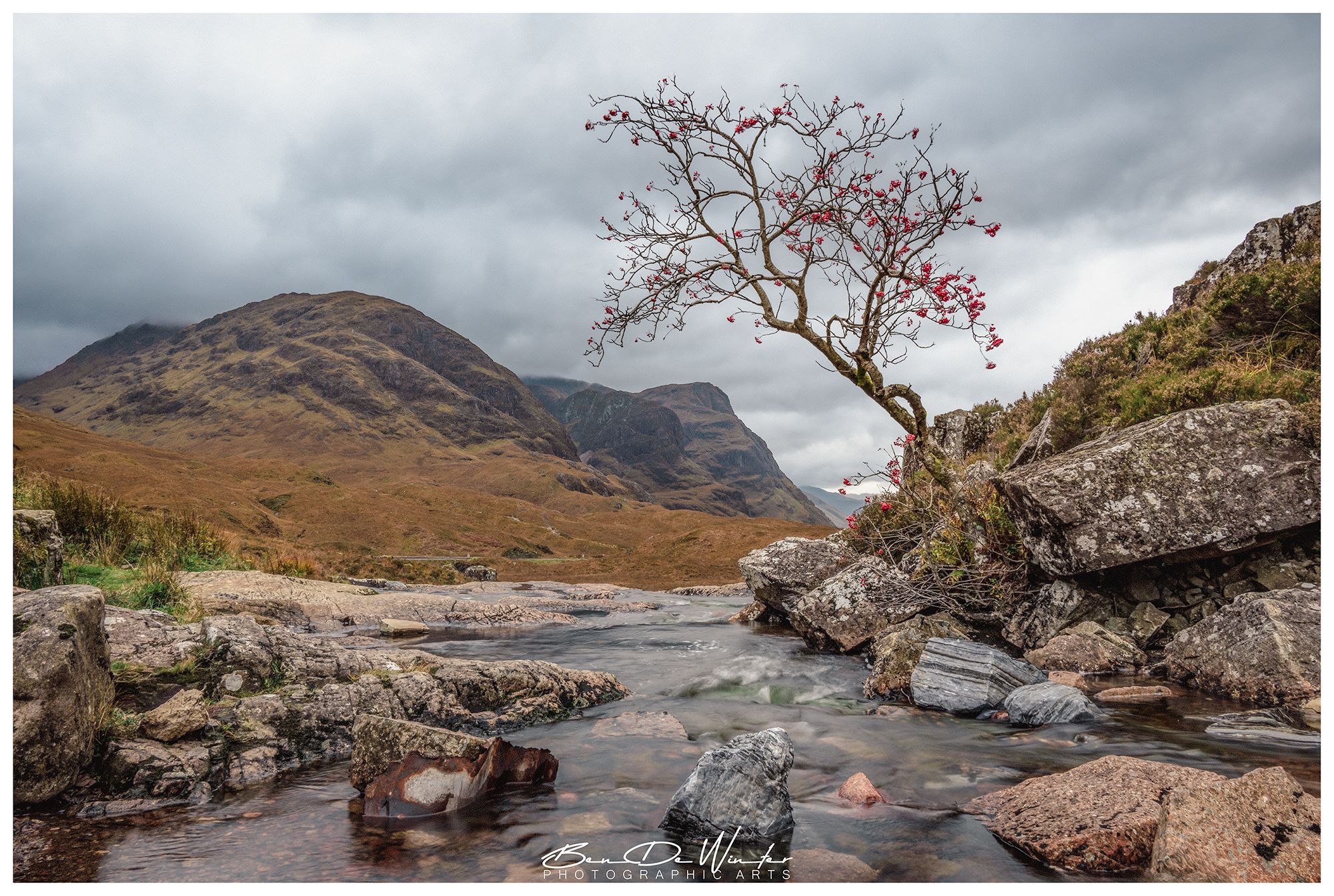 Glencoe waterfall with tree, United Kingdom