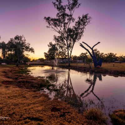 Graham Andrews Parkland, Charleville, Queensland, Australia