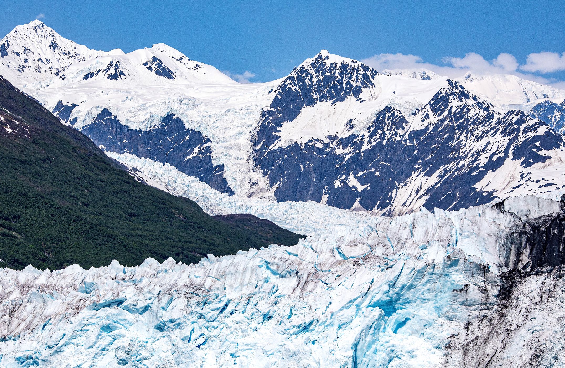 Harvard Glacier, USA
