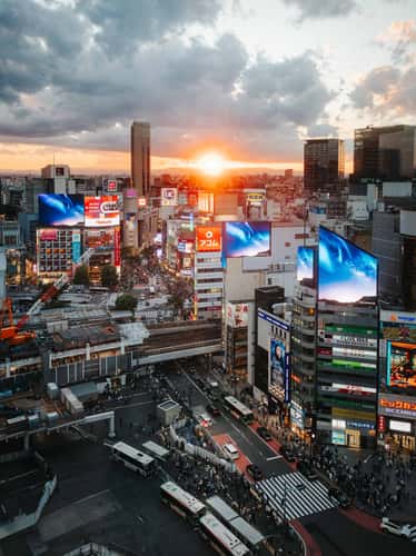 Hilarie Sky Lobby, Shibuya
