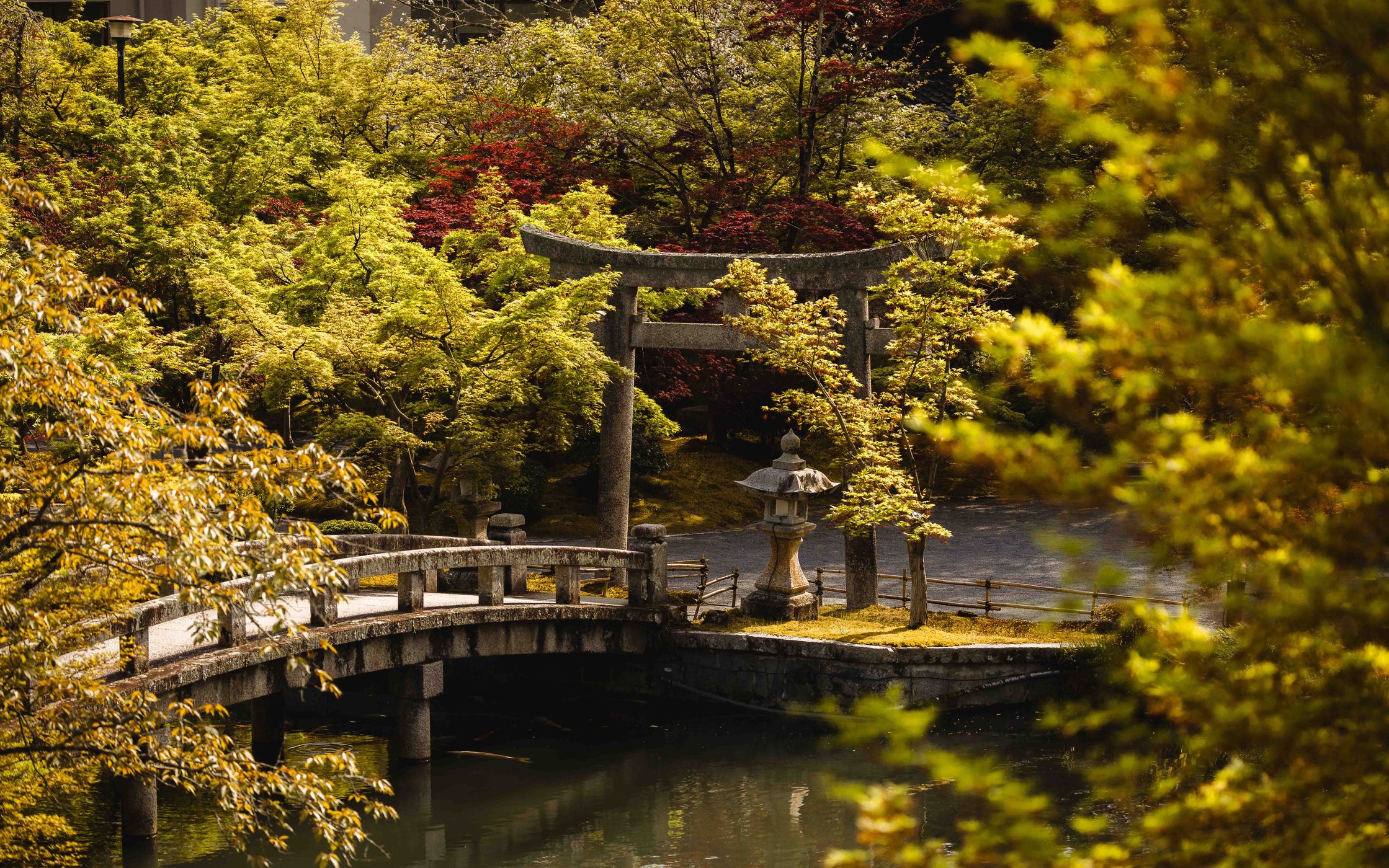 Hojo Pond, Eikando Temple, Japan