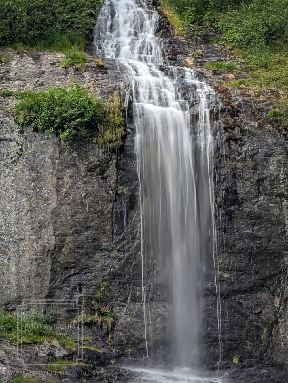 Holgate Arm, USA