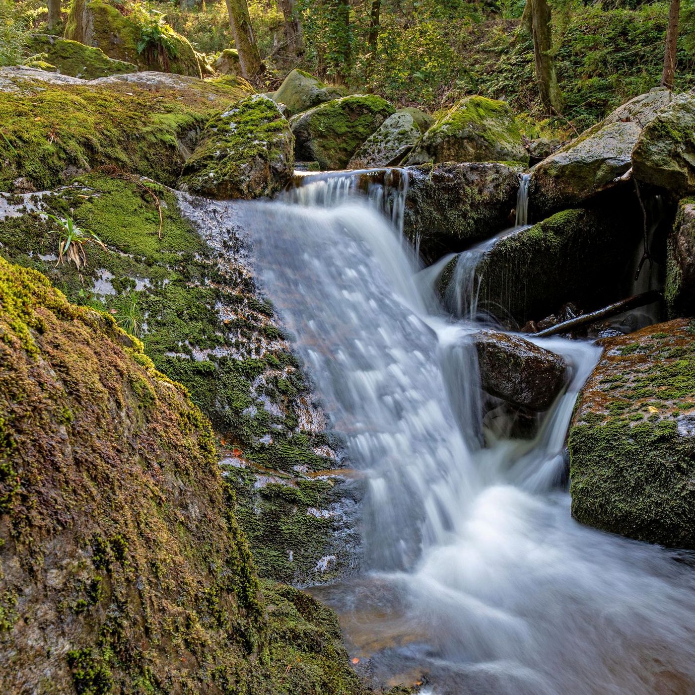 Ilsetal Harz, Germany