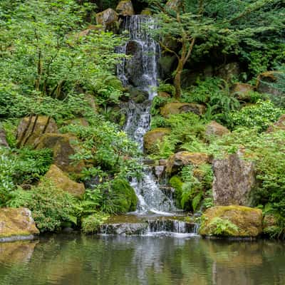 Japanese Garden, USA