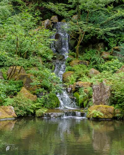 Japanese Garden