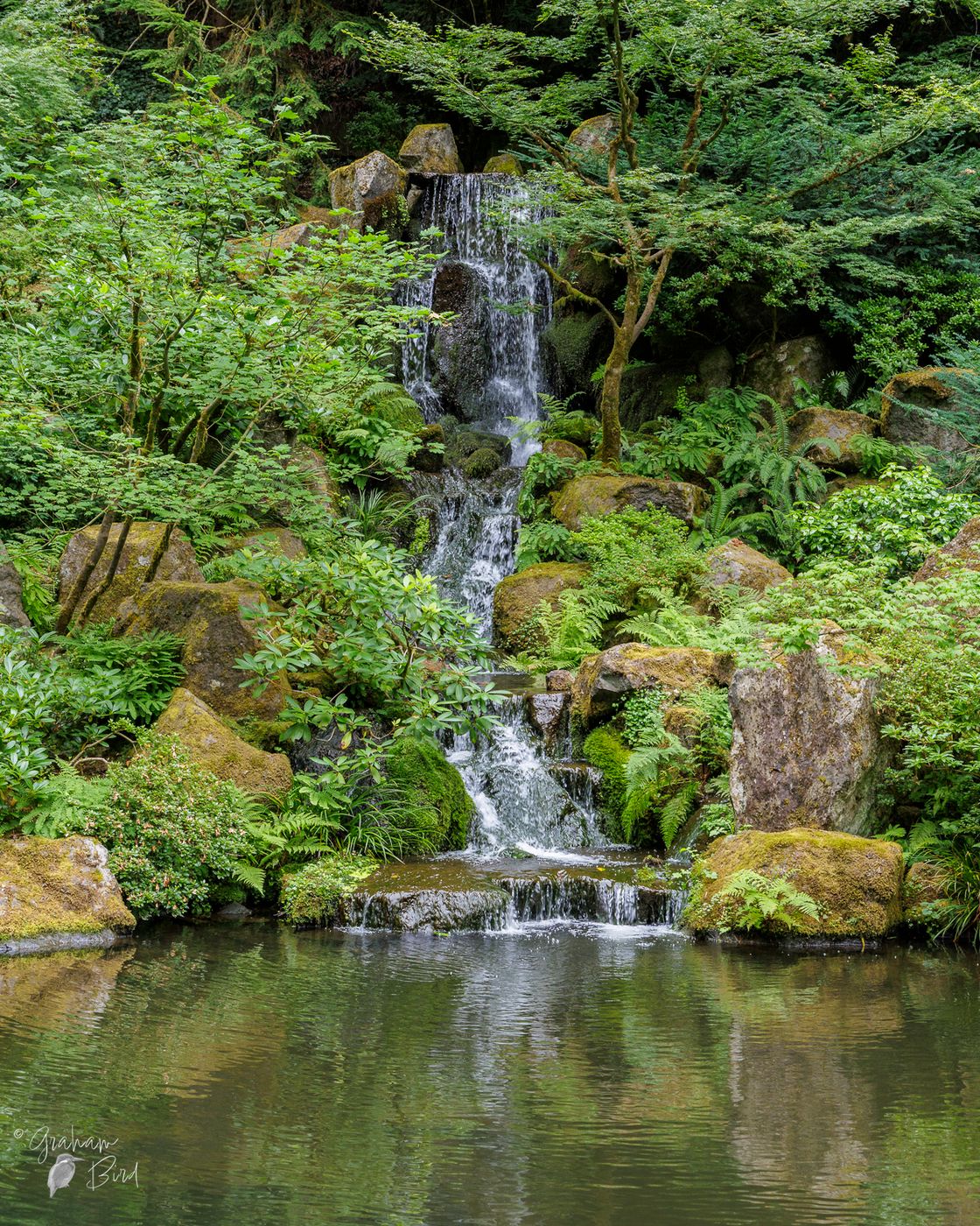Japanese Garden, USA