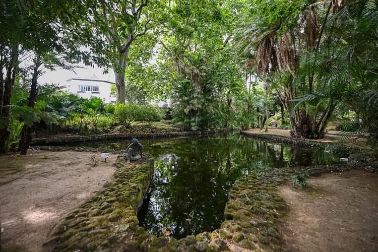 Jardim Botânico António Borges