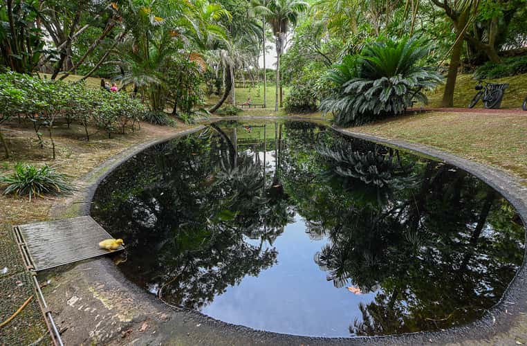Jardim Botânico António Borges