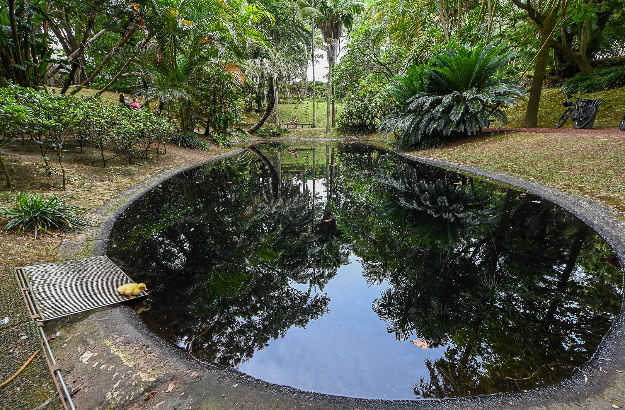 Jardim Botânico António Borges, Portugal
