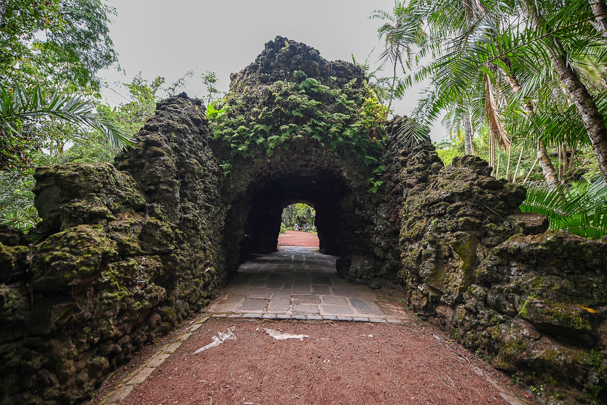 Jardim Botânico António Borges, Portugal