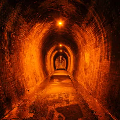 Karangahake Gorge Tunnel, New Zealand