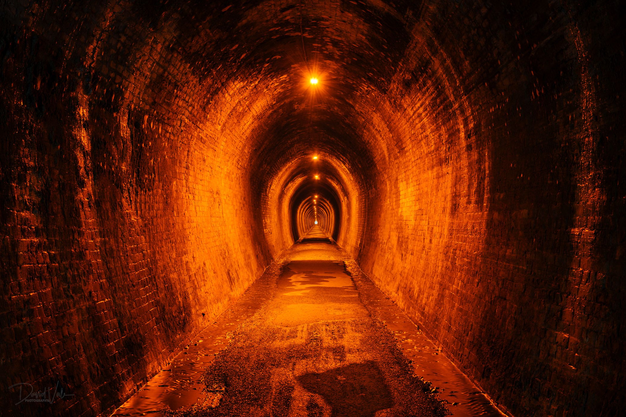 Karangahake Gorge Tunnel, New Zealand