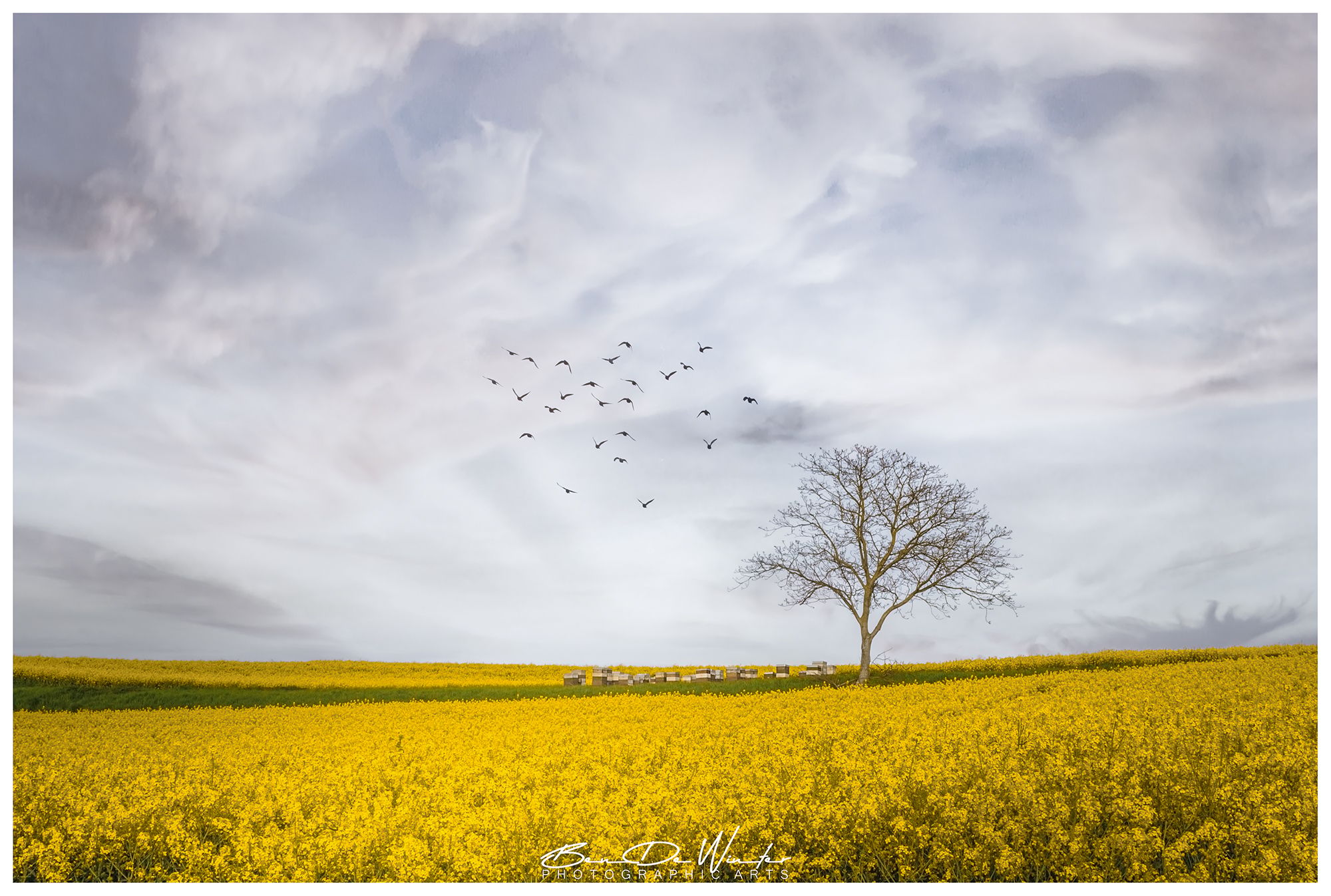 Kareelveld, Belgium
