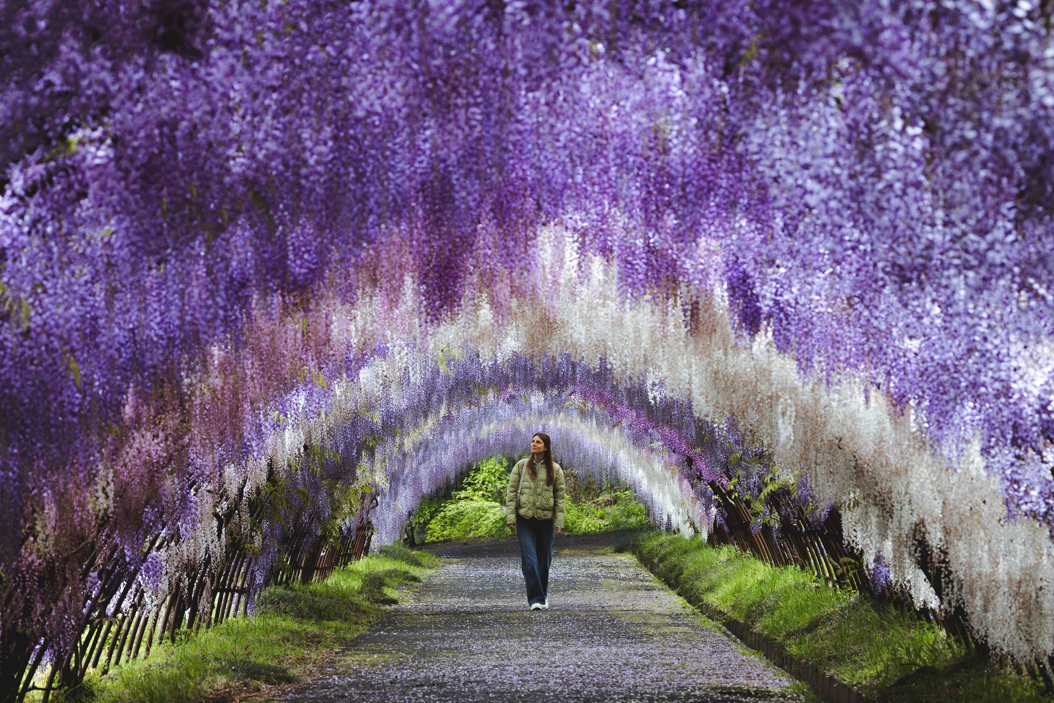 Kawachi Fujien, Kitakyushu, Japan