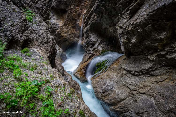 Klein Wellhorn & Rosenlaui Schlucht