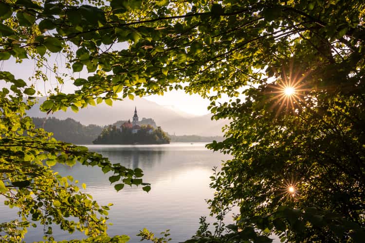 Lake Bled - Wooden Jetty - Rock covered with coins